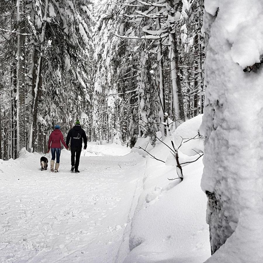 Appartamento Schieplechnerhof Schladming Esterno foto