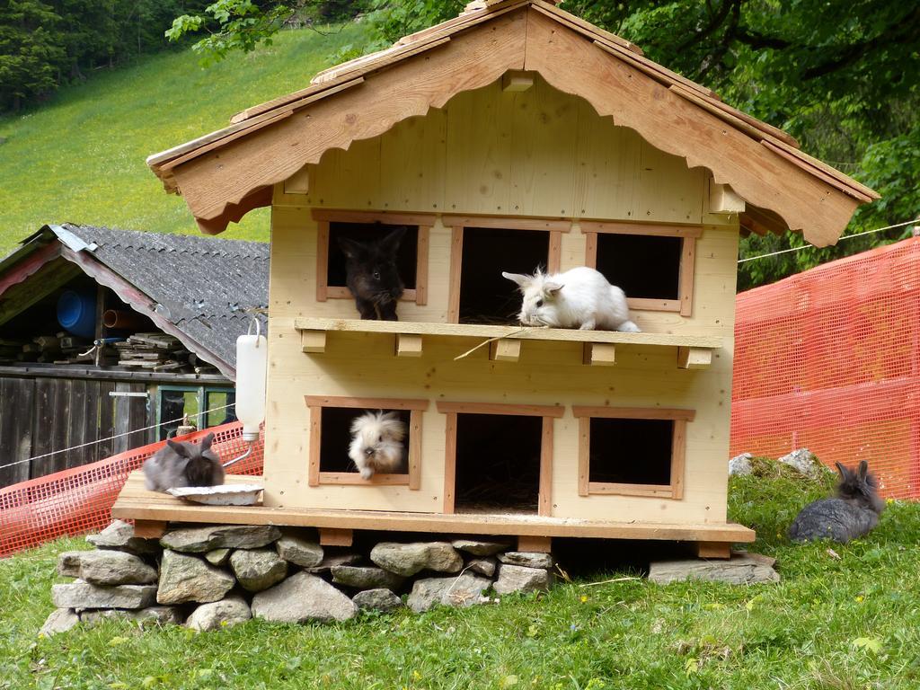 Appartamento Schieplechnerhof Schladming Esterno foto
