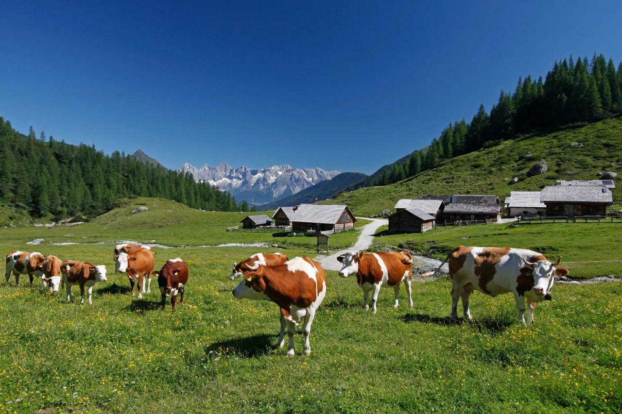 Appartamento Schieplechnerhof Schladming Esterno foto